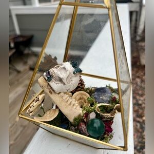 Geometric Glass Terrarium with Skull and Gemstones